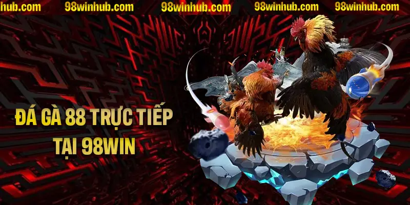 Đá Gà 88 - Kênh Trực Tiếp Các Trận Gà Tuyệt vời Tại 98Win