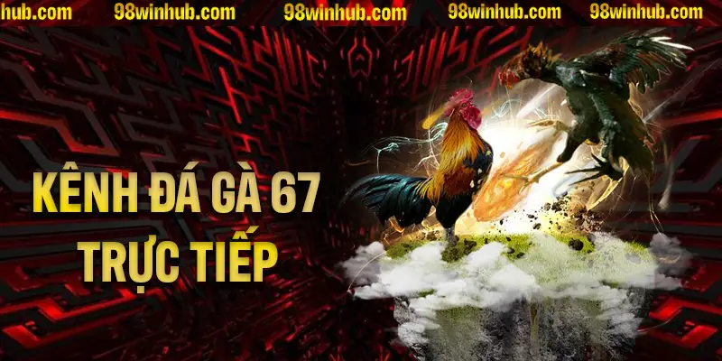 Đá Gà 67 - Kênh Trực Tiếp Các Trận Gà Tuyệt vời Tại 98Win