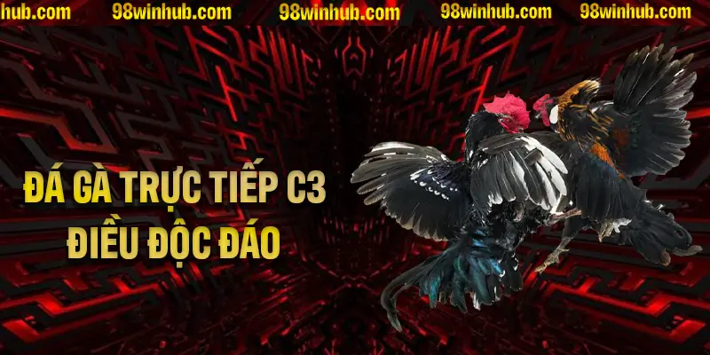 Tìm Hiểu Chi Tiết Về Đá Gà Trực Tiếp C3 Cùng Những Điều Độc Đáo