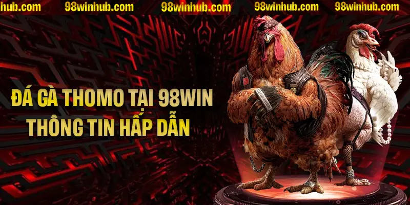 Tìm Hiểu Đá Gà Thomo Tại 98Win Với Những Thông Tin Hấp Dẫn