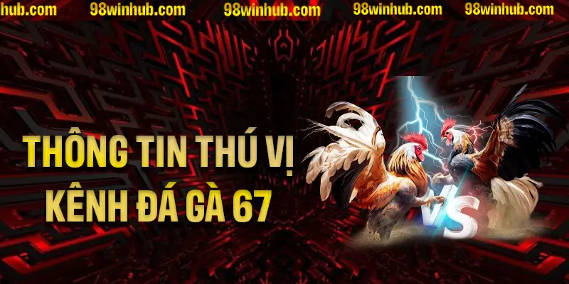 Những thông tin thú vị về kênh đá gà 67 tại 98Win