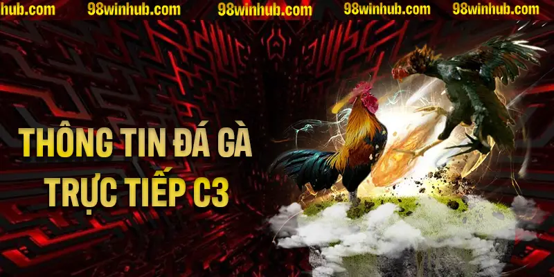 Tổng hợp thông tin hấp dẫn về đá gà trực tiếp C3