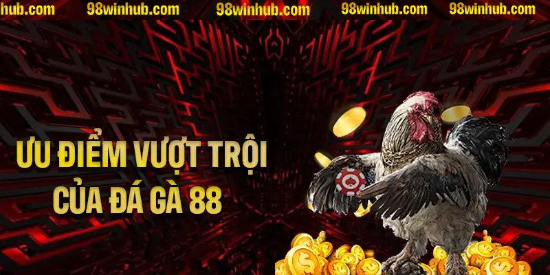 Khám phá các ưu điểm vượt trội của đá gà 88