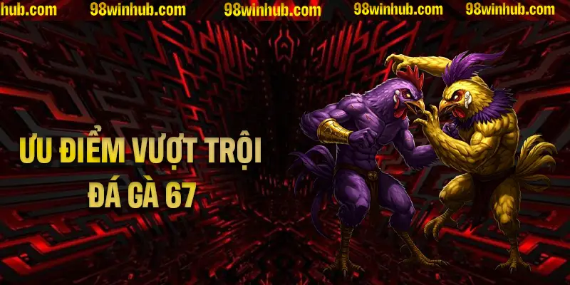 Khám phá các ưu điểm vượt trội của đá gà 67