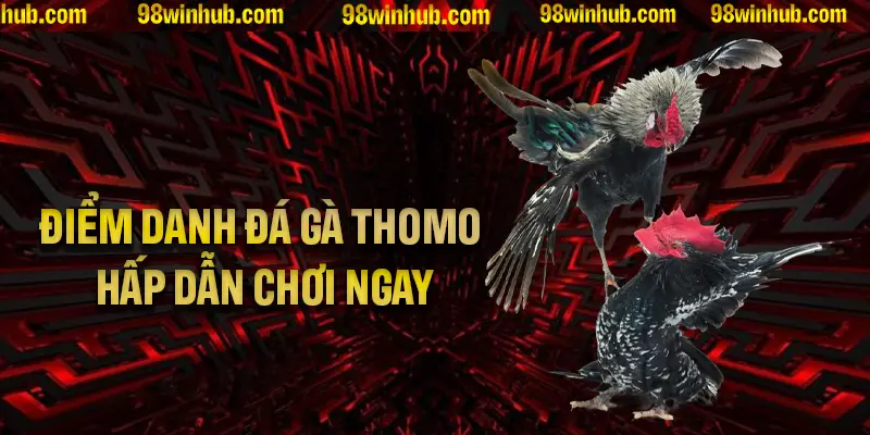 Điểm danh các loại hình đá gà Thomo hấp dẫn nhất bạn phải chơi ngay