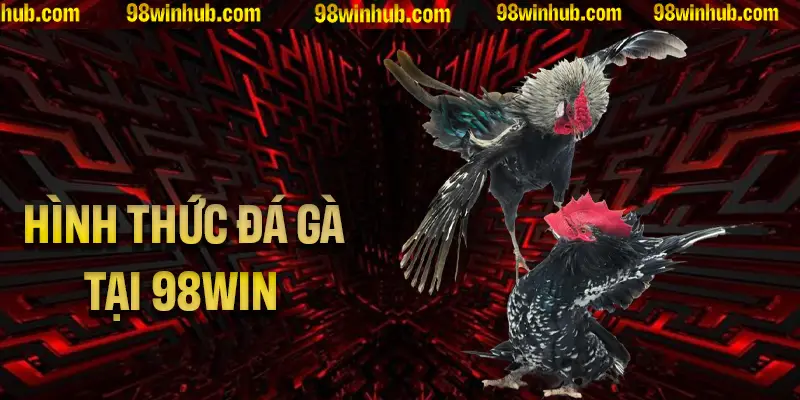 Tìm hiểu các hình thức hấp dẫn tại đá gà 88