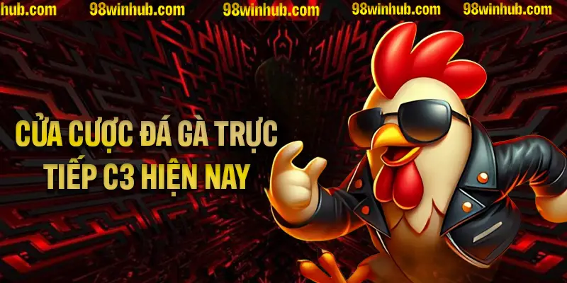 Các cửa cược chủ yếu của thể loại đá gà trực tiếp C3 hiện nay