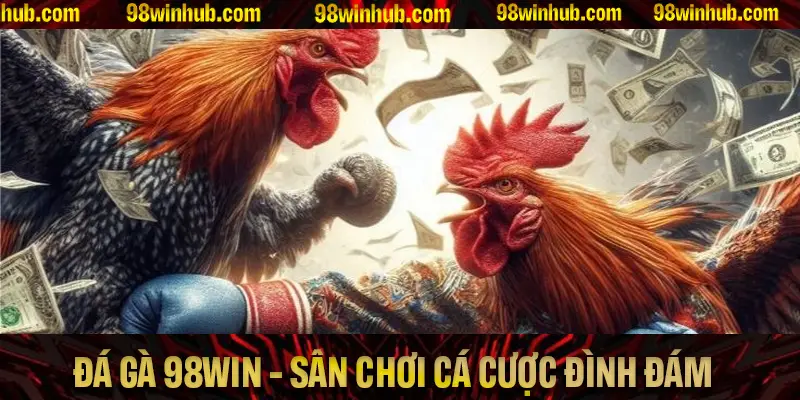 Những thông tin quan trọng về sảnh đá gà 98Win bạn cần biết