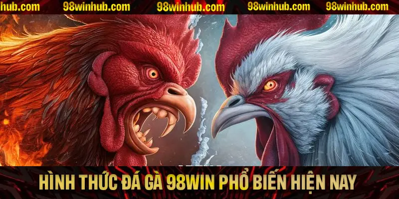 Tổng hợp các hình thức đá gà 98Win phổ biến nhất hiện nay